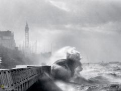 Tapeta National Geographic 511.jpg